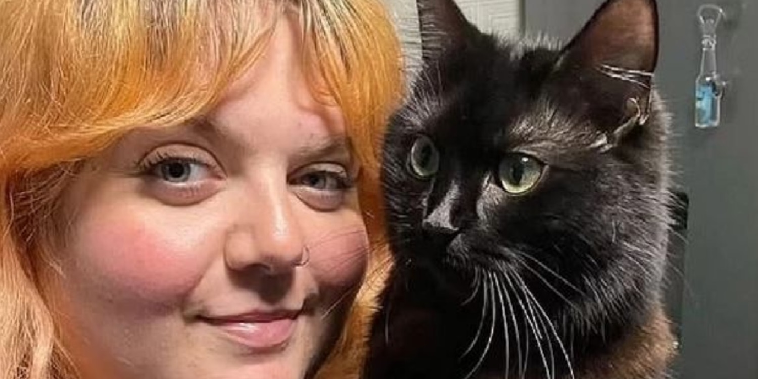 A Woman Spent $12,500 at the Vet to Learn That Her Cat Was Just Weird