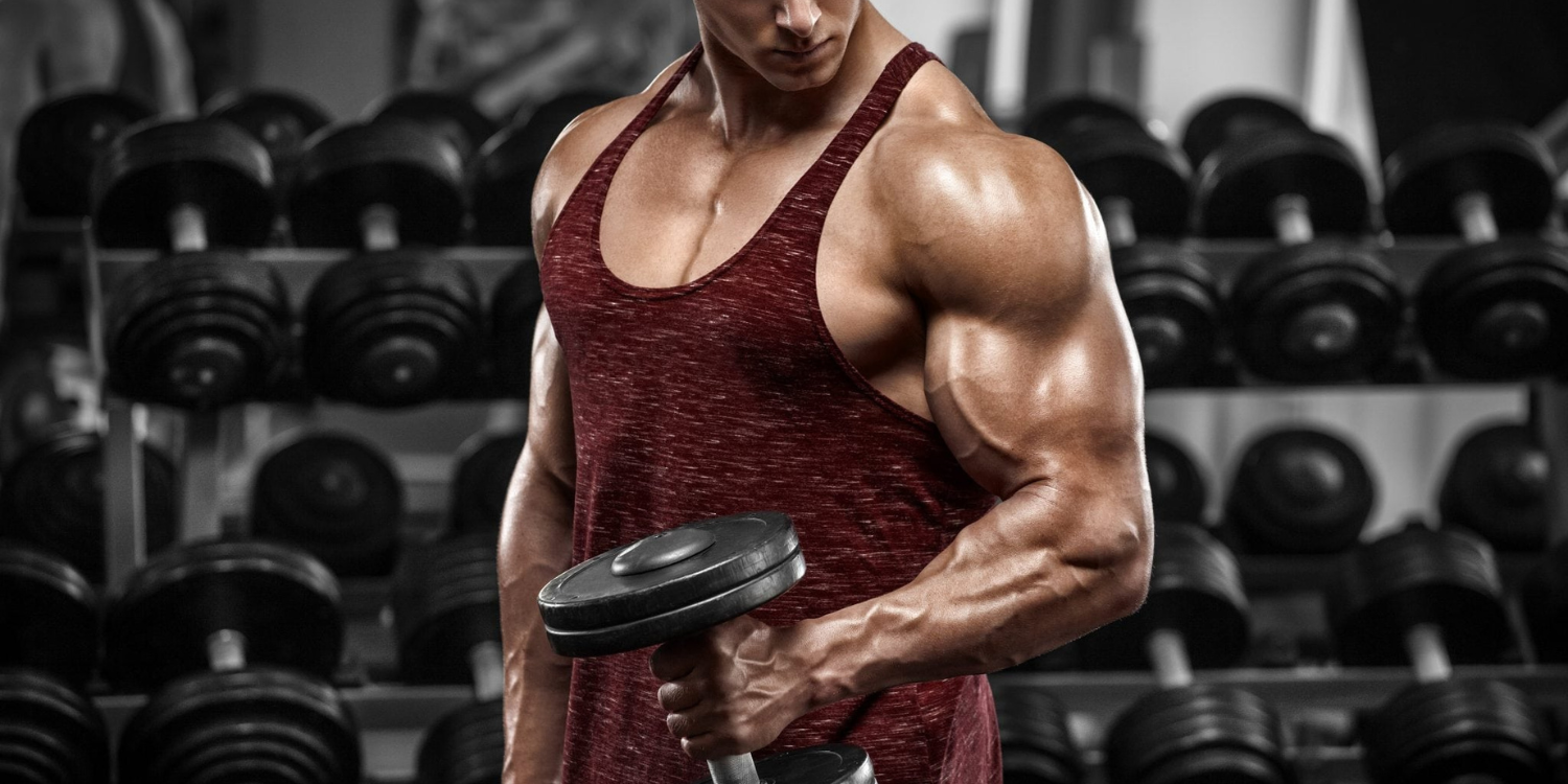 The Top 5 Exercises For Building Bulky and Strong Arms in the Gym