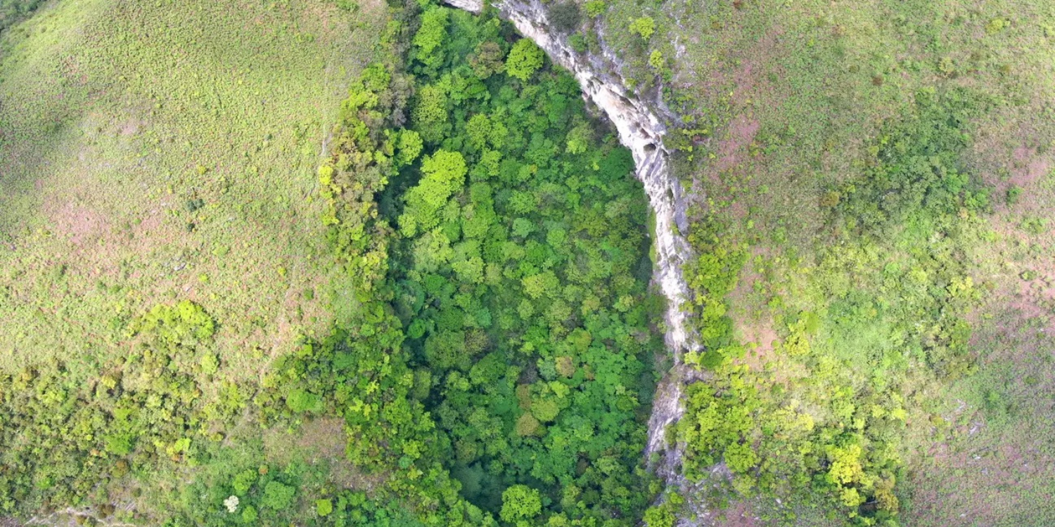 A Massive Sinkhole with Ancient Forest May Reveal Undiscovered Species