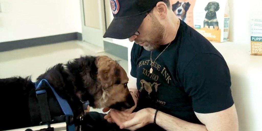 Chris Evans Surprises the Dogs at a NY Shelter for National Dog Day
